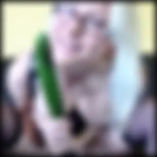Anale Wichserziehung für Devote