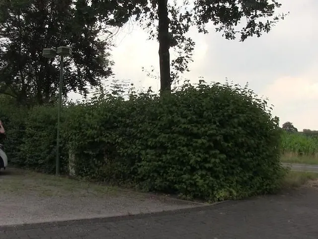 Mein erstes Date endet beim Creampie auf dem Parkplatz